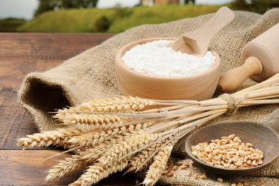 Sản phẩm từ bột mì Việt Nam vượt qua kỳ sát hạch thẩm tra xuất khẩu vào Đài Loan