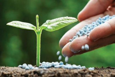 Nâng cao hiệu quả quản lý chất lượng sản phẩm vật tư nông nghiệp và nông lâm thủy sản