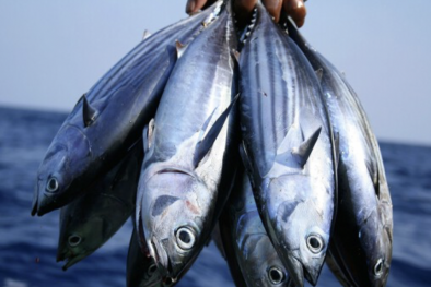 Doanh nghiệp Việt Nam có nhiều cơ hội đẩy mạnh xuất khẩu cá ngừ sang Italy