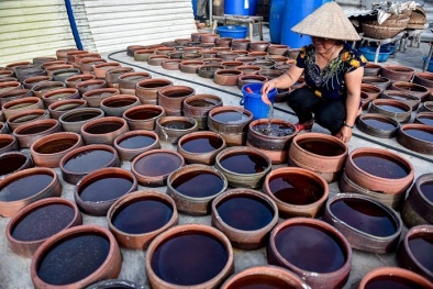 Cấp chỉ dẫn địa lý nước mắm Nam Ô, nâng tầm giá trị sản phẩm làng nghề