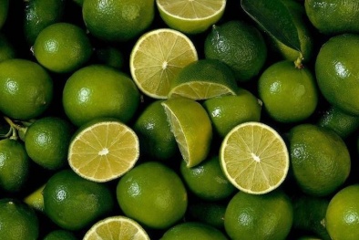 Chanh không hạt Bến Lức - Long An được chứng nhận chỉ dẫn địa lý