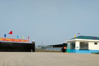 Nghệ An: Xả nước thải vượt quy chuẩn, Chi nhánh Công ty TNHH Đỉnh Vàng bị xử phạt 150 triệu đồng