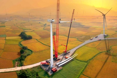 Phát triển thị trường các-bon: Kinh nghiệm quốc tế và một số khuyến nghị cho Việt Nam