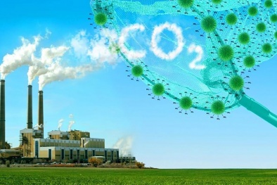 Thúc đẩy thị trường carbon: Thêm lời giải bài toán giảm phát thải cho doanh nghiệp