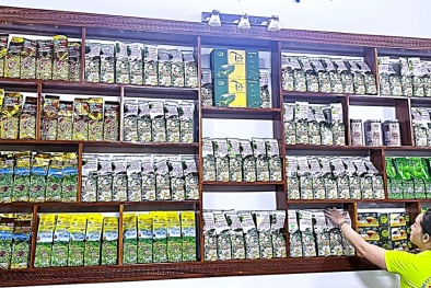 Cà Mau: Hỗ trợ doanh nghiệp OCOP áp dụng hệ thống quản lý chất lượng tiên tiến