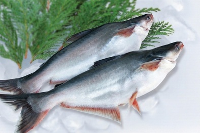 Hiệp định CEPA được kì vọng sẽ mở rộng cơ hội xuất khẩu cá tra vào thị trường UAE 