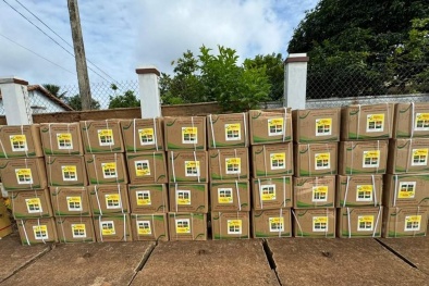 Bình Phước: Phát hiện 110 thùng thuốc bảo vệ thực vật không rõ nguồn gốc