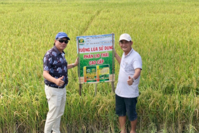 Công ty phân bón hữu cơ Greenfield nợ Bảo hiểm Xã hội gần 1,5 tỷ đồng