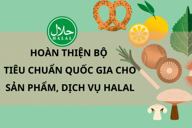 Infographic: Tiếp tục hoàn thiện bộ tiêu chuẩn quốc gia cho sản phẩm, dịch vụ Halal 