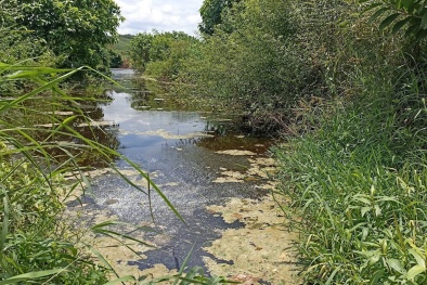 Thanh Hóa: Xử phạt Công ty Tâm Việt hơn 120 triệu đồng vì gây ô nhiễm môi trường