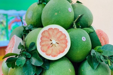 Bưởi Việt Nam rộng đường xuất khẩu sang thị trường Hàn Quốc