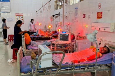 Cấp cứu 6 bệnh nhân nghi bị ngộ độc do nấm