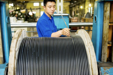 Hoa Kỳ kết luận sơ bộ điều tra chống lẩn tránh thuế đối với dây cáp nhôm nhập khẩu từ Việt Nam