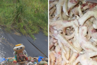 Tuyên Quang tiêu hủy hơn 5 tấn chân gà đông lạnh không đảm bảo tiêu chuẩn an toàn thực phẩm