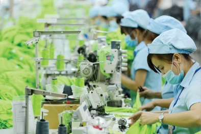 Tiêu chuẩn OCS xác minh hàm lượng nguyên liệu hữu cơ trong sản phẩm dệt may 