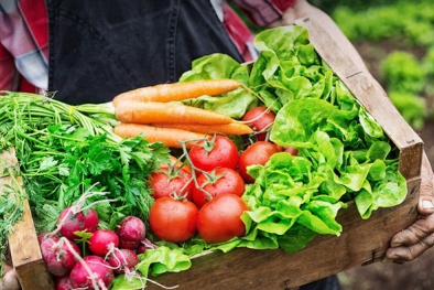 Tiêu chuẩn JAS – Thước đo chuẩn mực dành cho các sản phẩm hữu cơ