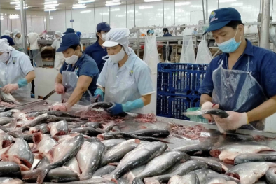 Việt Nam cần nâng cao hơn nữa chất lượng mặt hàng thủy sản xuất khẩu vào Singapore