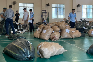 Bắc Giang phát hiện gần 24.000 sản phẩm hàng hoá giả mạo và không rõ nguồn gốc xuất xứ