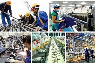 Bình Định ưu tiên đầu tư khoa học công nghệ và đổi mới sáng tạo góp phần tăng trưởng kinh tế