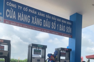 Thanh, kiểm tra về TCĐLCL hoạt động kinh doanh xăng dầu trên địa bàn tỉnh Ninh Bình