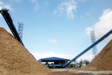 Xử phạt Công ty TNHH Innovgreen Thanh Hóa do xả thải trái phép ra môi trường