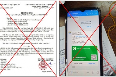 Cảnh báo chiêu trò giả mạo yêu cầu cập nhật VssID4.0