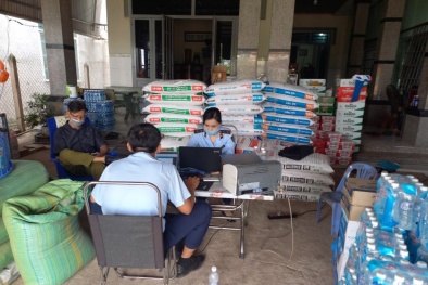 Nguyên nhân khiến phân bón giả, kém chất lượng vẫn 'hoành hành' thị trường