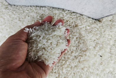 Việt Nam đứng đầu xuất khẩu gạo vào Singapore và những lưu ý đối với doanh nghiệp