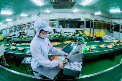 Việt Nam đặt mục tiêu đạt chuẩn quốc tế về chất lượng an toàn thực phẩm vào năm 2030