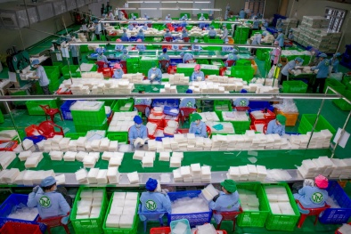 ‘Mỹ đâu trồng khoai mì, Pháp làm gì có dừa sáp, đó là cơ hội của chúng ta’!