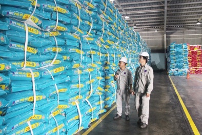 Hiệp hội Phân bón Việt Nam: Đóng góp tích cực cho ngành phân bón phát triển bền vững