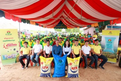 Phân Bón Cà Mau tiếp tục đồng hành cùng nông dân Campuchia