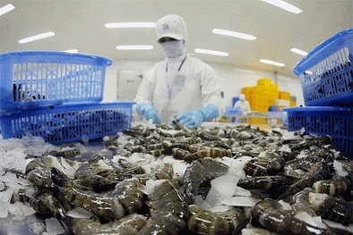 Xuất khẩu thủy sản tháng 7 tăng cao