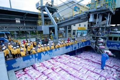 6 tháng đầu năm 2024, Phân bón Cà Mau thắng lớn 