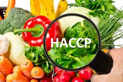 Áp dụng tiêu chuẩn HACCP nâng cao chất lượng sản phẩm