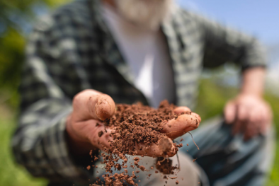 TCVN 14134-2:2024 về đất dùng trong xây dựng đường bộ