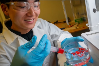 Phát triển loại mực in 3D mới có thể đông lại khi tiếp xúc nước muối và thân thiện với môi trường