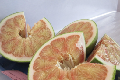 Những lưu ý đối với quả bưởi Việt Nam khi xuất khẩu vào thị trường Hàn Quốc