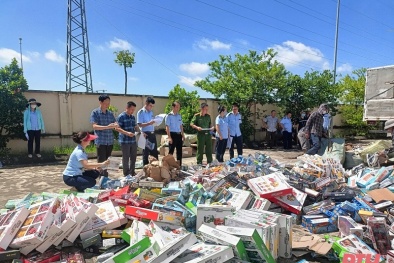 Thanh Hóa tiêu hủy 249 lô hàng hóa không đảm bảo chất lượng