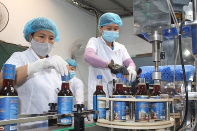 Thanh Hóa: Ứng dụng công nghệ, nâng tầm chất lượng nước mắm truyền thống