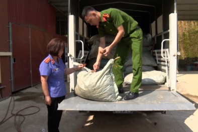 Lạng Sơn: Thu giữ lượng lớn chân gà không rõ nguồn gốc