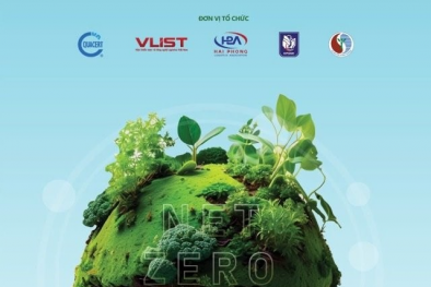 Hiện thực hóa mục tiêu Net Zero hướng đến phát triển bền vững