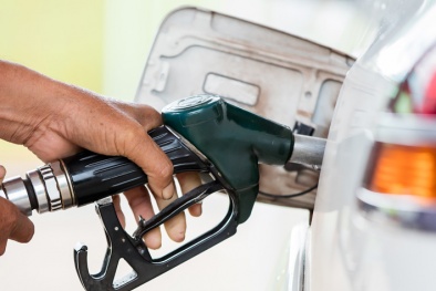 Phát triển phương pháp thử nghiệm tiêu chuẩn mới đo hàm lượng xenlulo