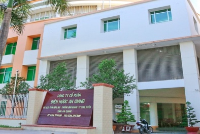 Xử phạt Công ty Cổ phần Điện nước An Giang do vi phạm trong lĩnh vực môi trường