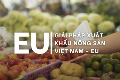 Doanh nghiệp nông sản cần làm gì để thuận lợi xuất khẩu vào thị trường EU
