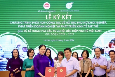 Hỗ trợ phát triển doanh nghiệp và kinh tế tập thể, thúc đẩy trao quyền kinh tế cho phụ nữ