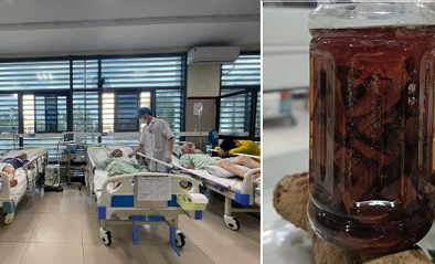 Hai người đàn ông gặp nguy kịch do uống rượu ngâm rễ cây hồi 