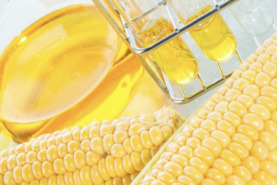 Đường nhập lậu và đường lỏng siro ngô gây sức ép đối với ngành mía đường trong nước