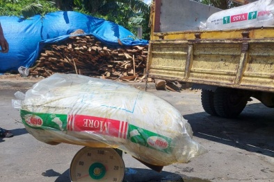 Bình Định thu giữ số lượng mỡ động vật đã qua chế biến