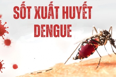 Cảnh báo tử vong do sốt xuất huyết